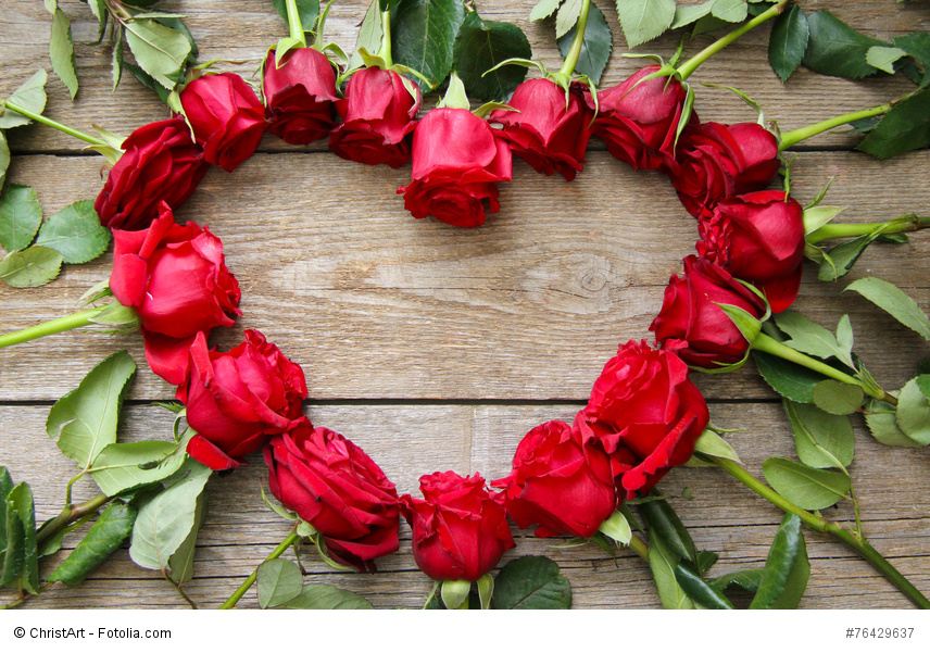 Content Marketing Content Marketing