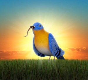 Twitter hat den Wurm © James Steidl - Fotolia.com
