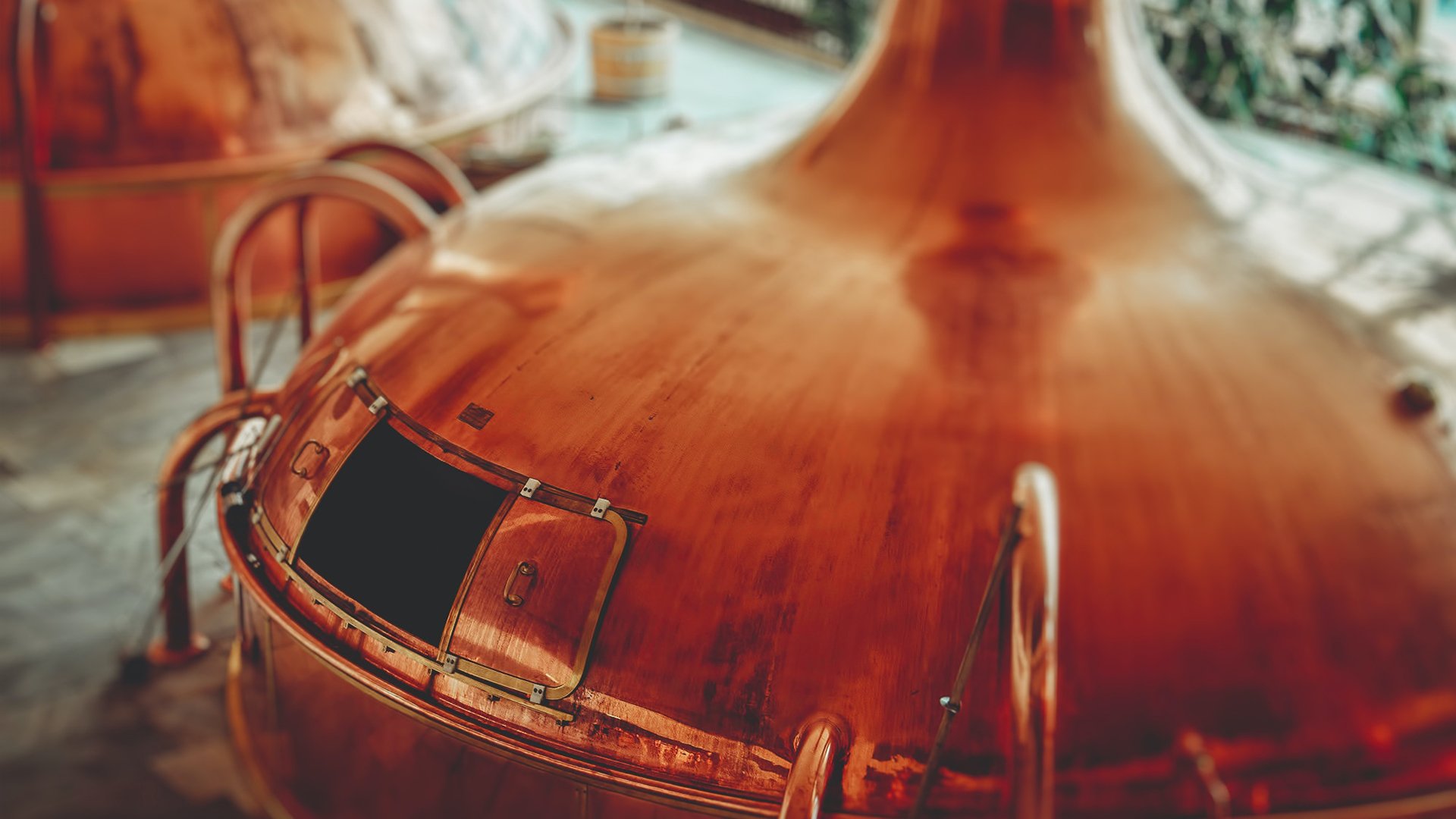 martin-martz-DQpHtE5WY-U-unsplash