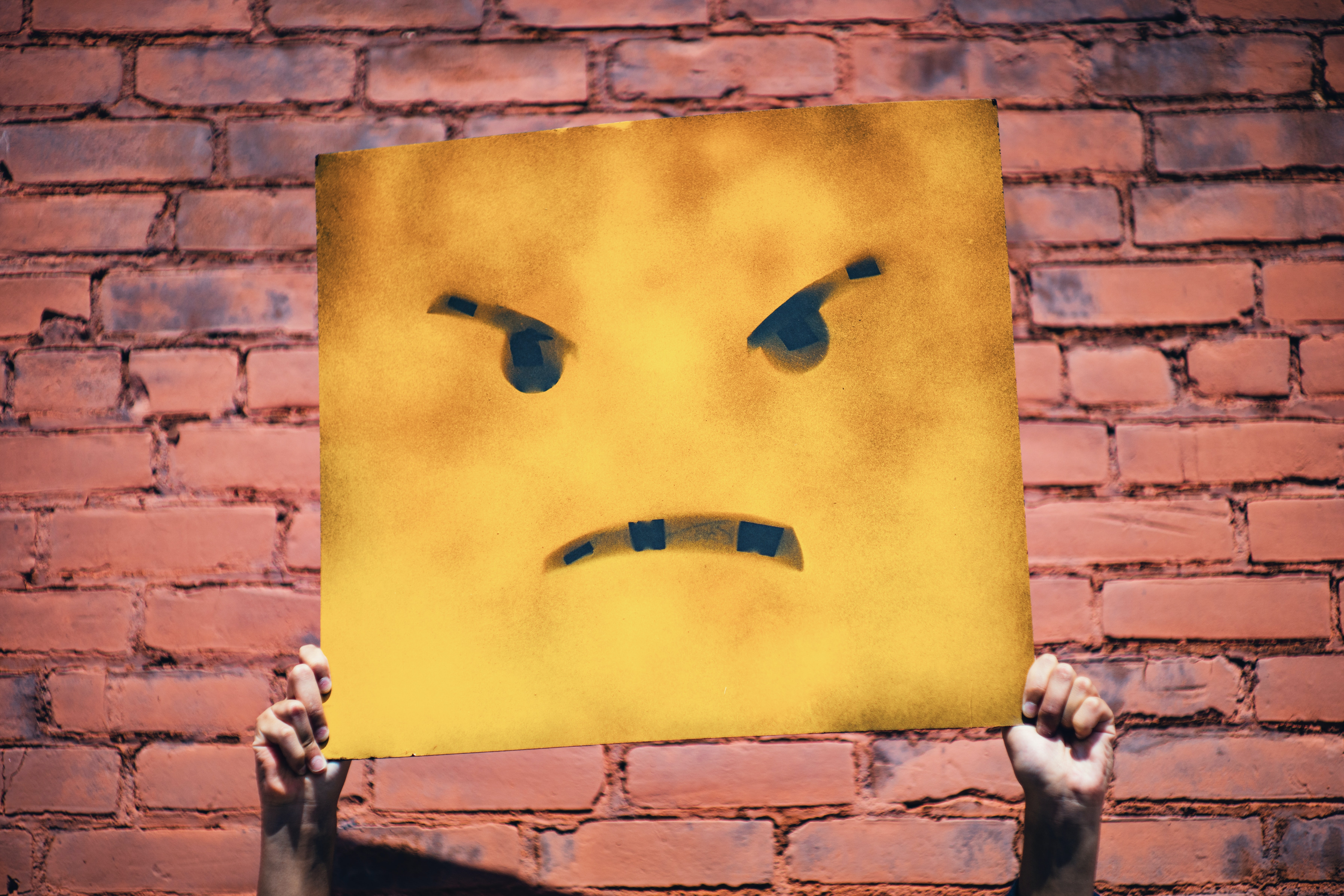 Plakat, Demo, böser Emoji